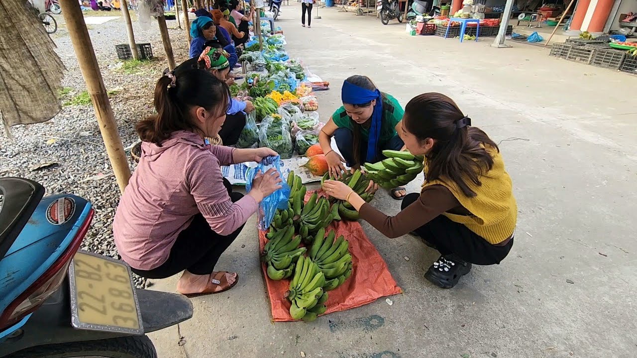 Harvest the banana garden to sell at the market, buy ducks and goslings to raise - DANG THI DU