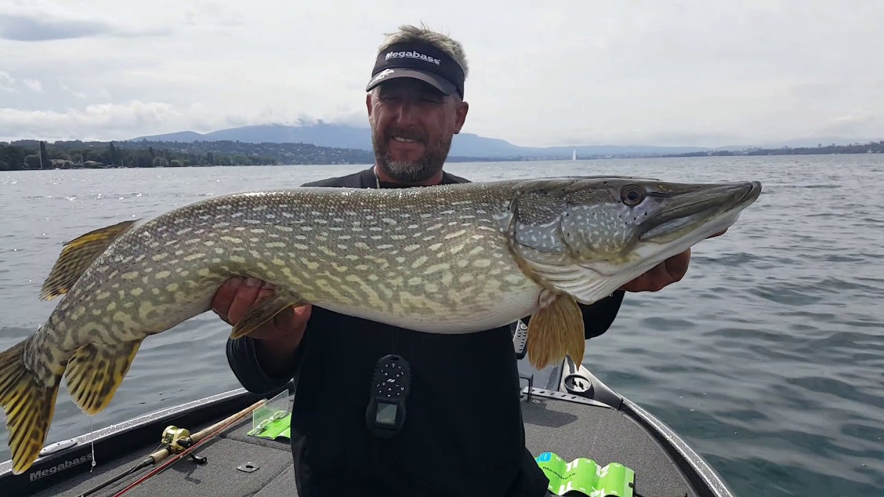 Le Léman avec les copains de la Team Ultimate Fishing