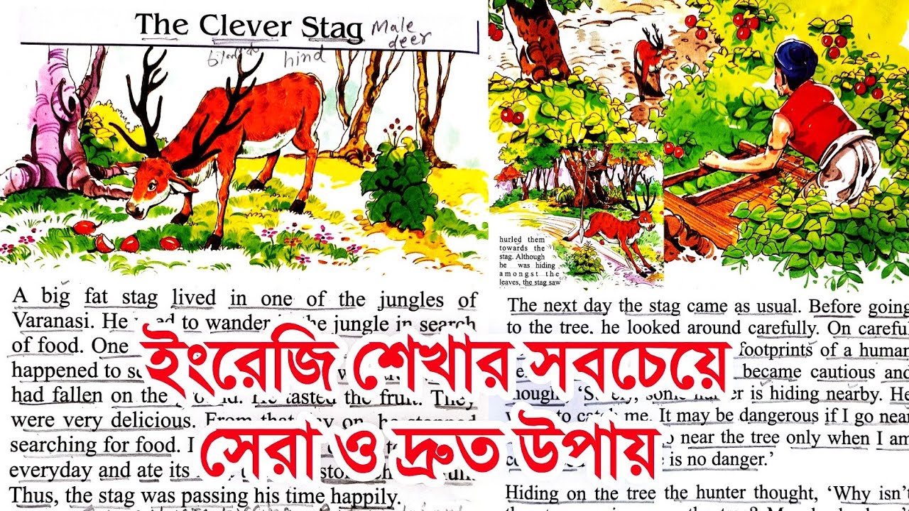 English story reading with bengali translation | Learn English through stories | The Clever Stag
