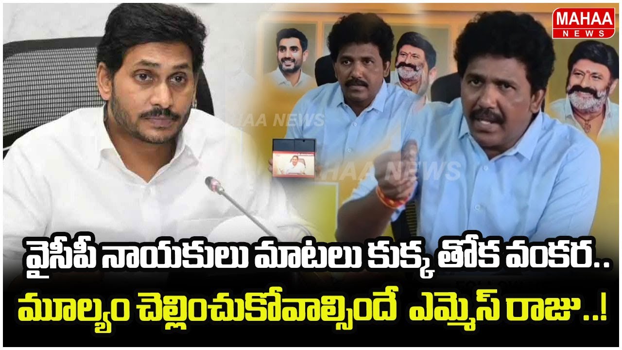 వైసీపీ నాయకులు మాటలు కుక్క తోక వంకర.. మూల్యం చెల్లించుకోవాల్సిందే  ఎమ్మెస్ రాజు..!| Mahaa News