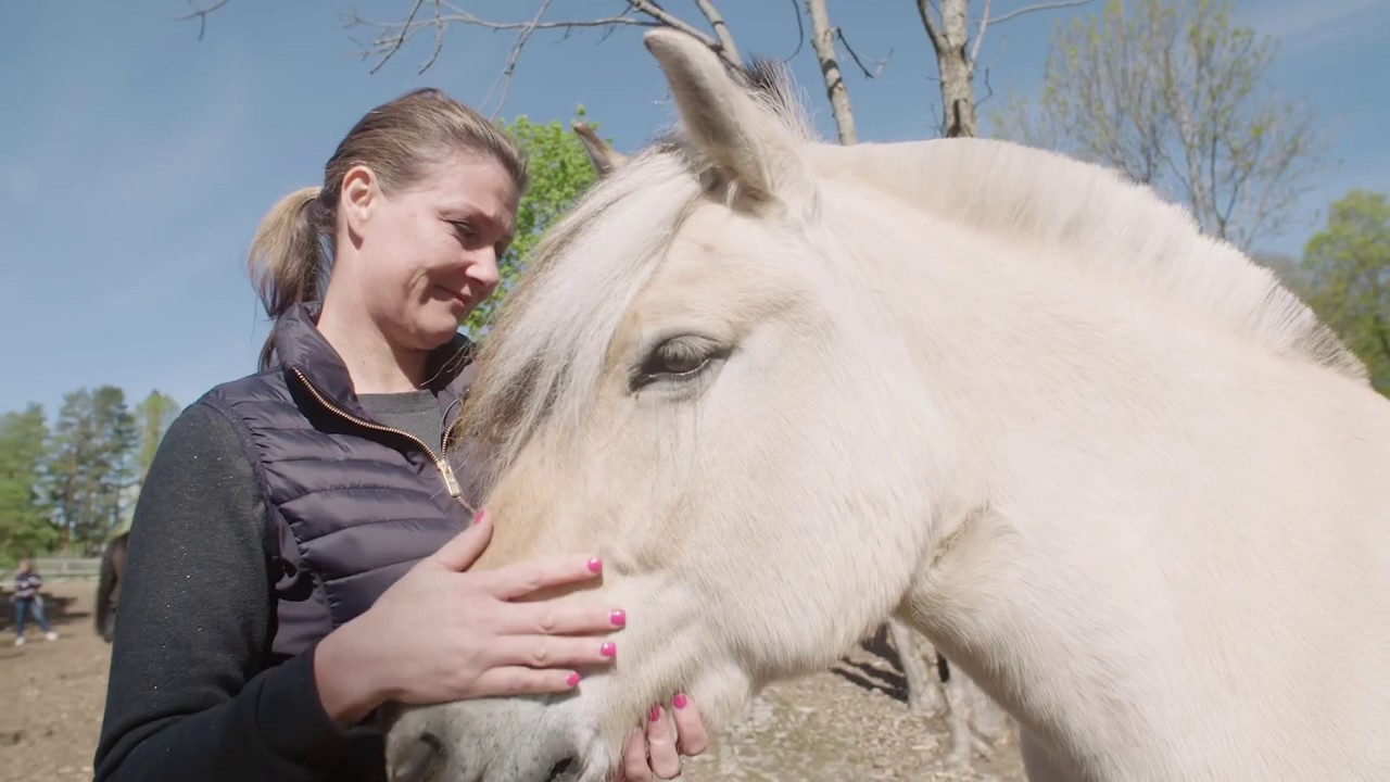 Hest på blå resept 1:6