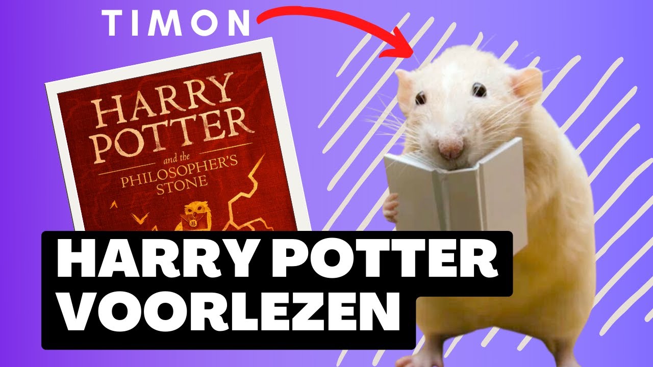 Timon Leest Harry Potter Voor