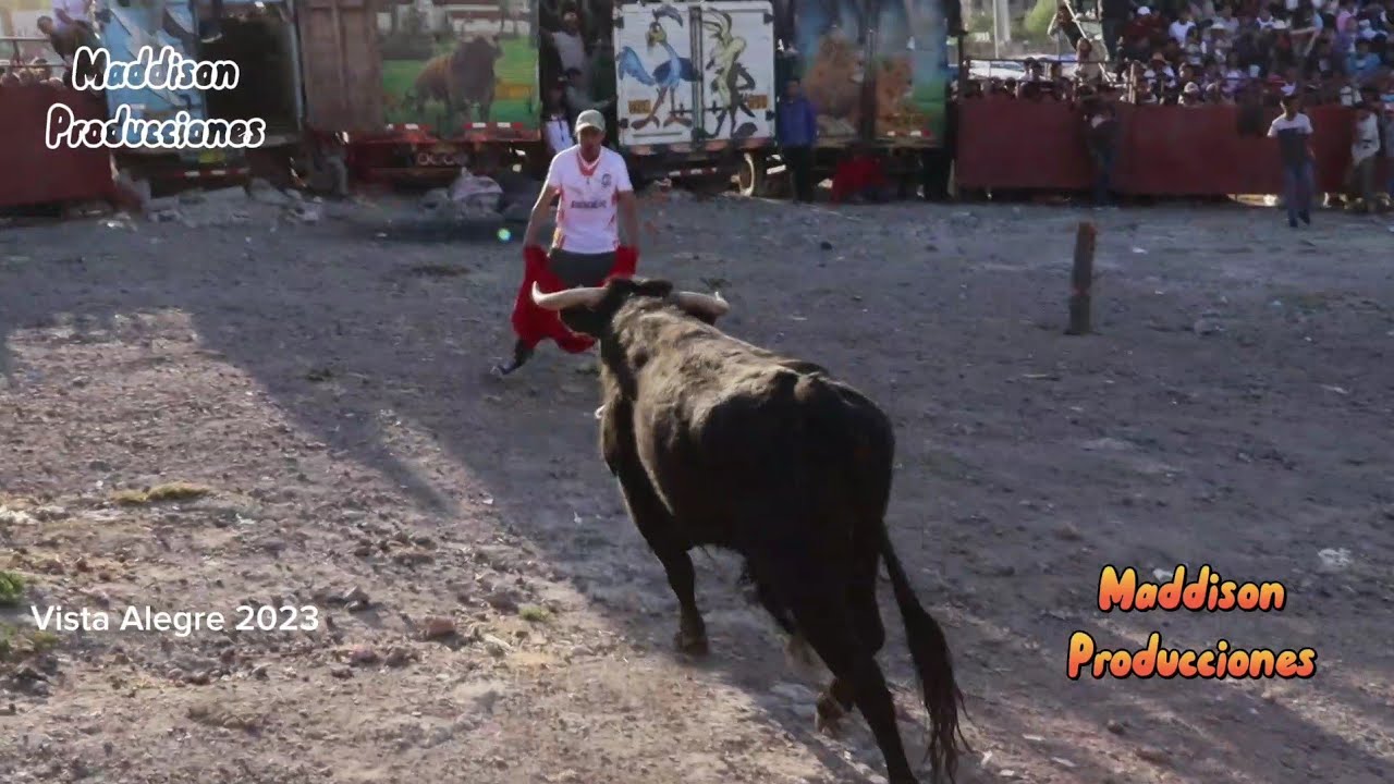 Gran tarde taurina en el barrio de Vista Alegre 09 de septiembre 2023 Ayacucho.