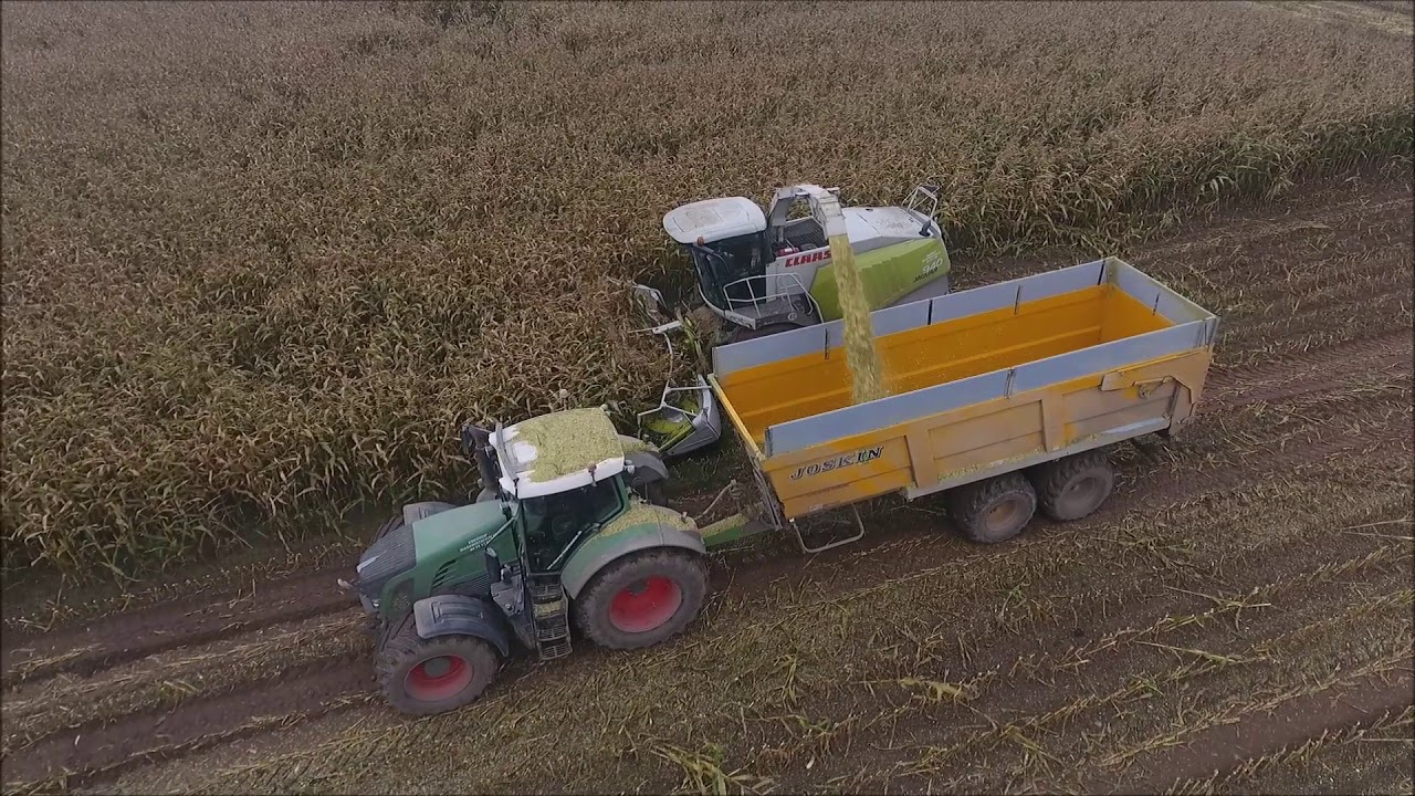 Ebberup Maskinstion l Majs 2017 l Claas Jaguar 940