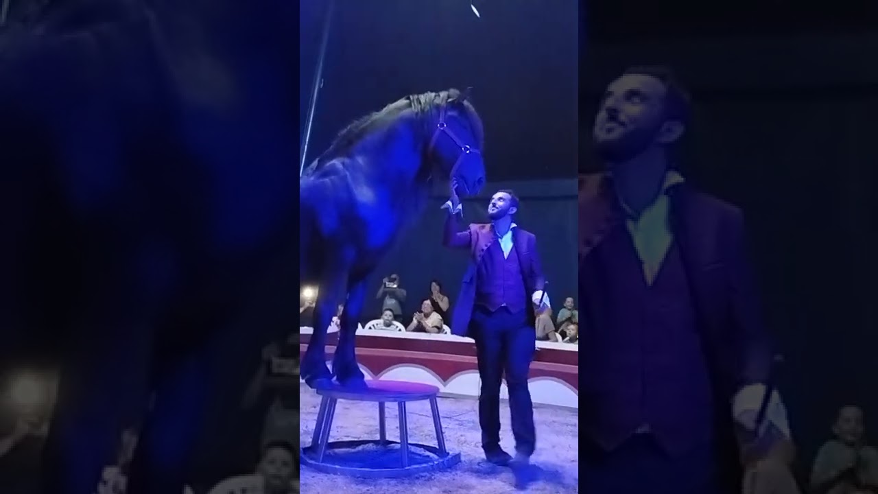 le cirque