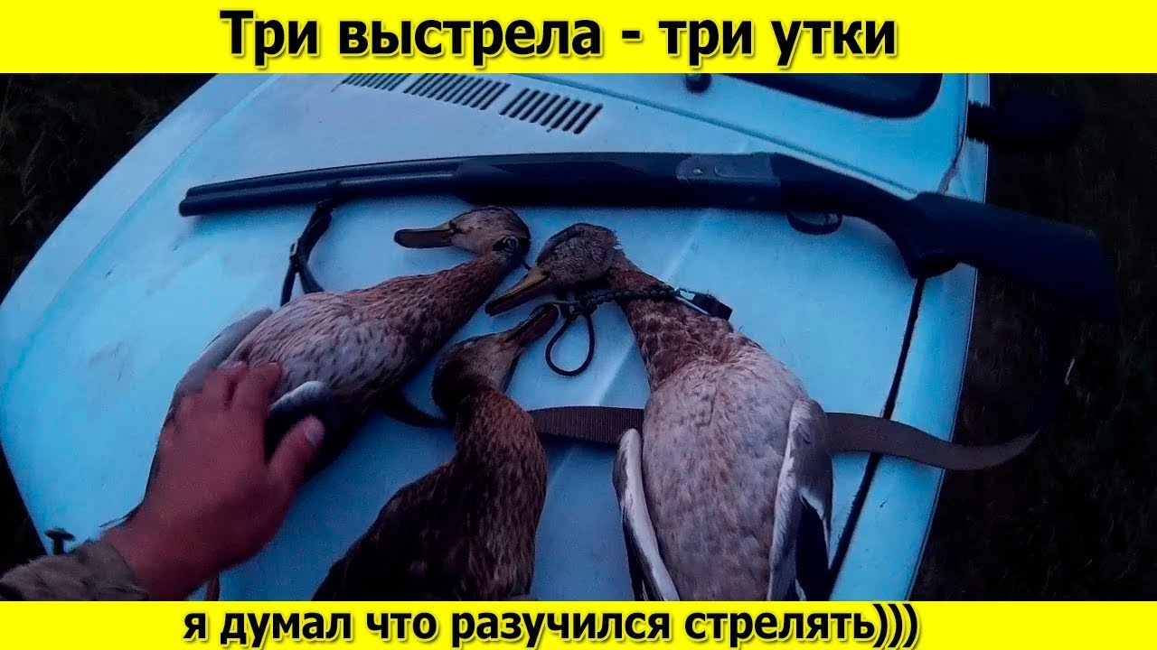 Три выстрела три утки, а я уже думал что разучился стрелять