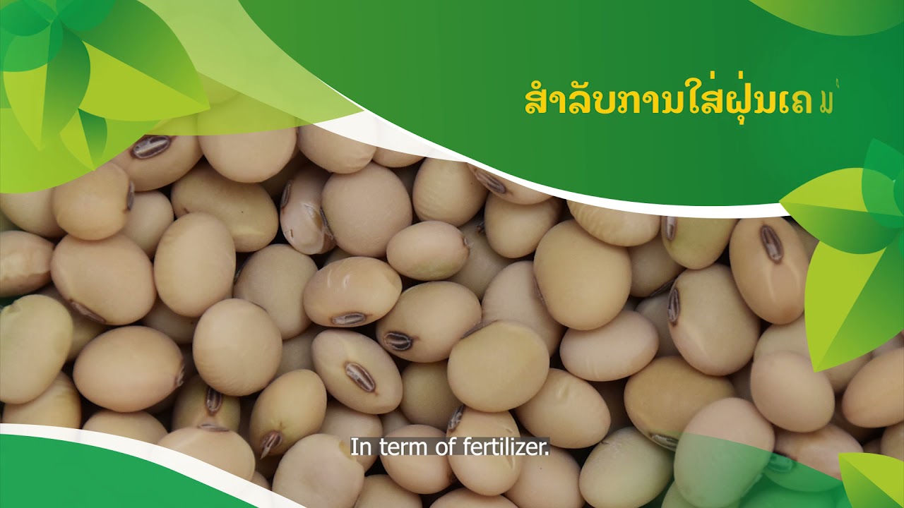 Agroecological Soybean Production and Processing for Nutrition in Laos