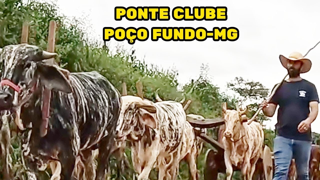 OS CARREIROS A CAMINHO DO ENCONTRO