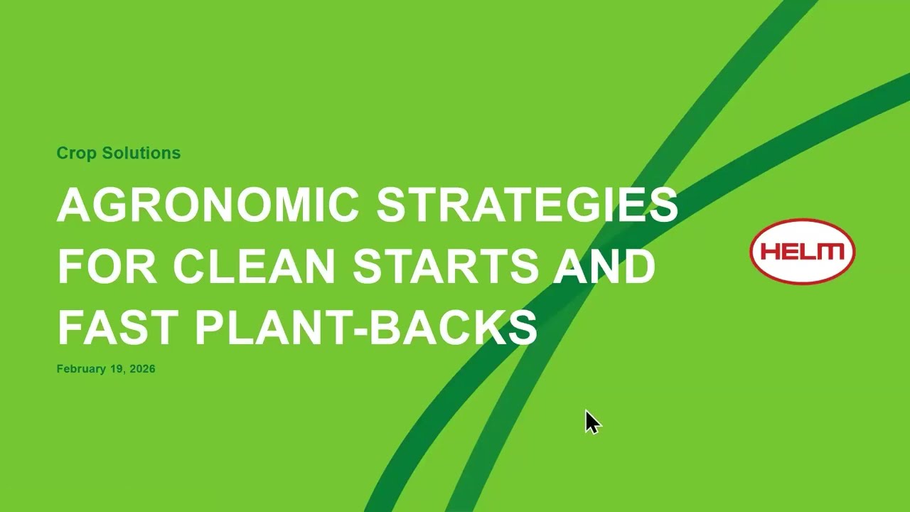 Agronomic Strategies for Clean Starts and Fast Plant Backs