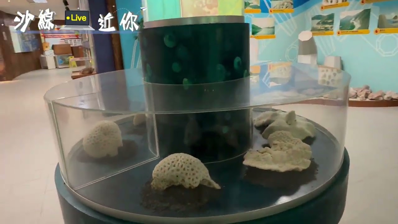 遊走上窰