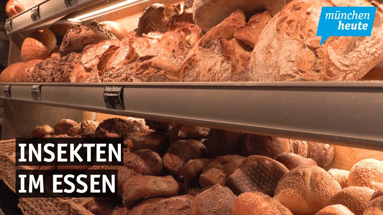 Insekten im Essen - Wie M&uuml;nchener B&auml;ckereien auf die neue EU-Verordnung reagieren.