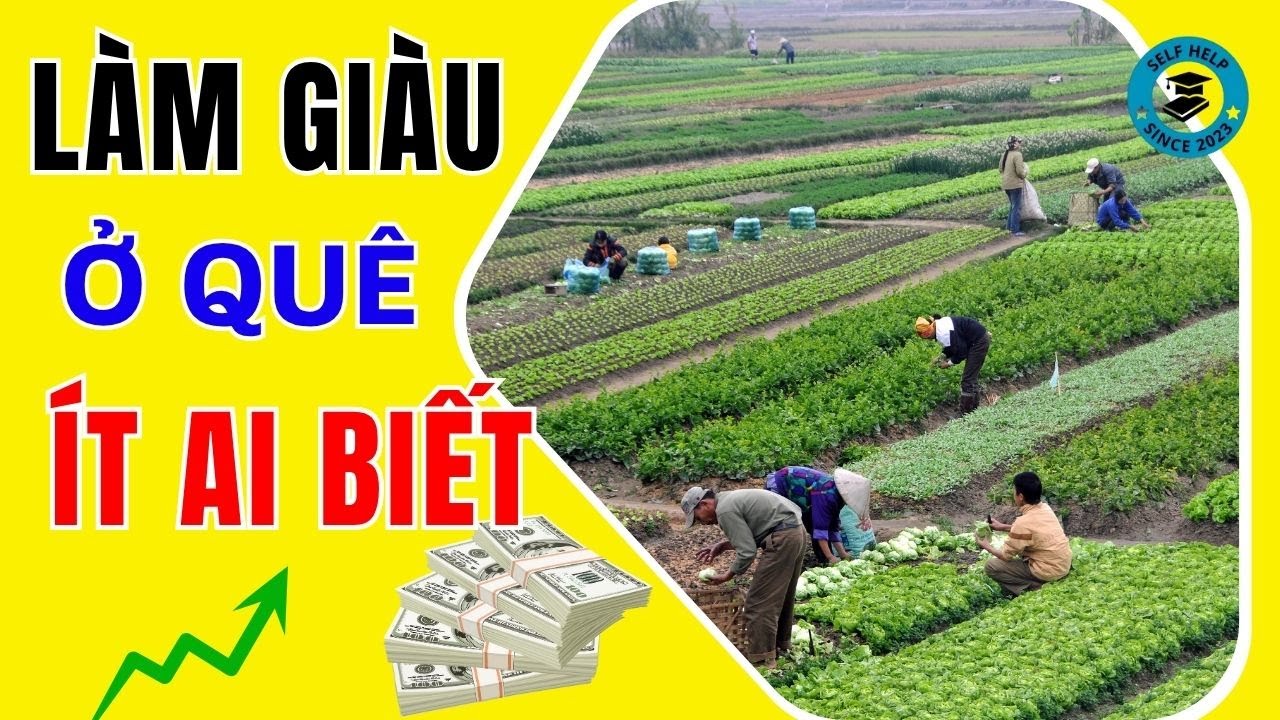 10 Cách Làm Giàu Ở Nông Thôn Ít Ai Biết Đến – Nhanh, Hiệu Quả, Ít Vốn!