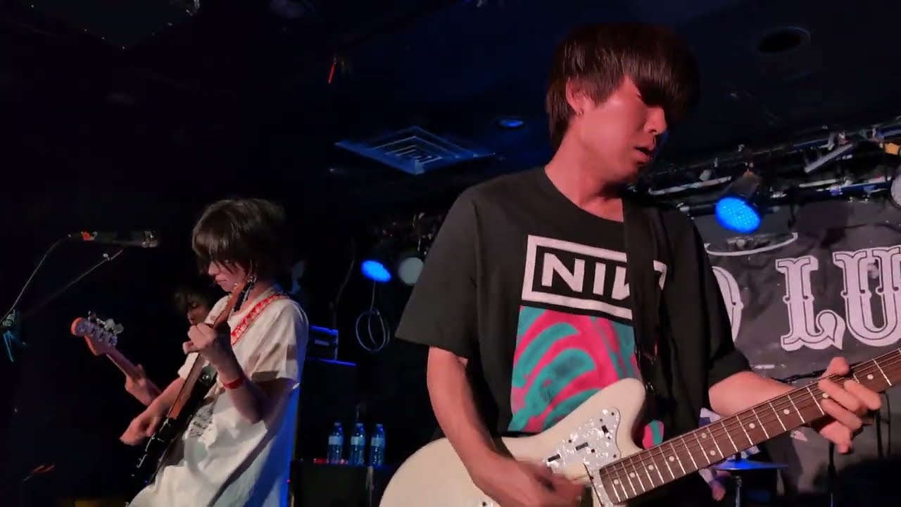 hammer head shark - りんごの駅 (Apple's) into 魚座の痣 (Pisces Bruise) (clip)