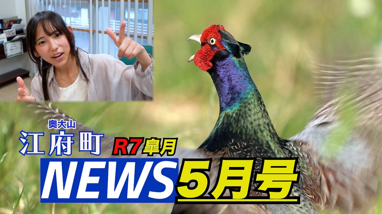江府町NEWS５月号(江府町ニュース）/米作ります！農する江府町は田んぼ再生に挑み100匹以上の鯉のぼりが泳ぎコウノトリも飛来！国鳥キジは母衣打ち！消防団は頼もしく学園生は体育祭な５月！
