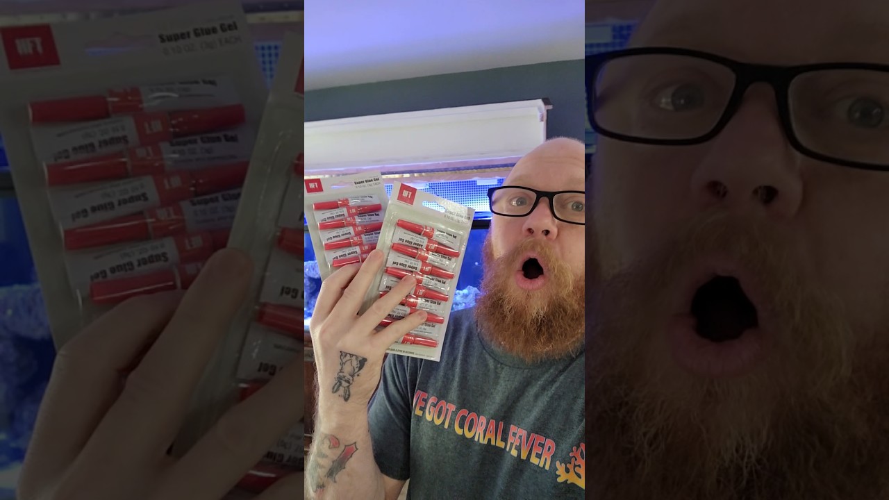 CHEAP frag glue!! #reefcommunity #marineaquarium #reeftank