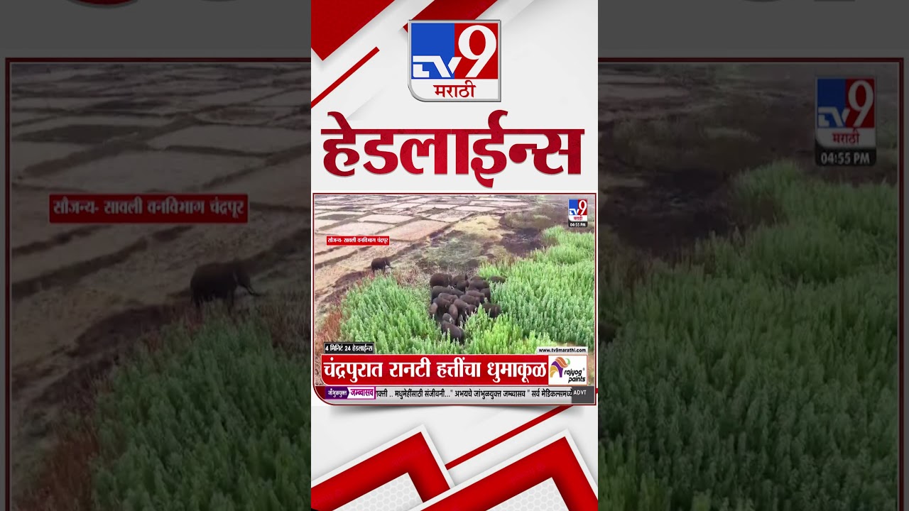 Tv9 Marathi News Top Headline Today | 11 June 2026 | 5 PM | 4 Minute 24 Headline Maharashtra