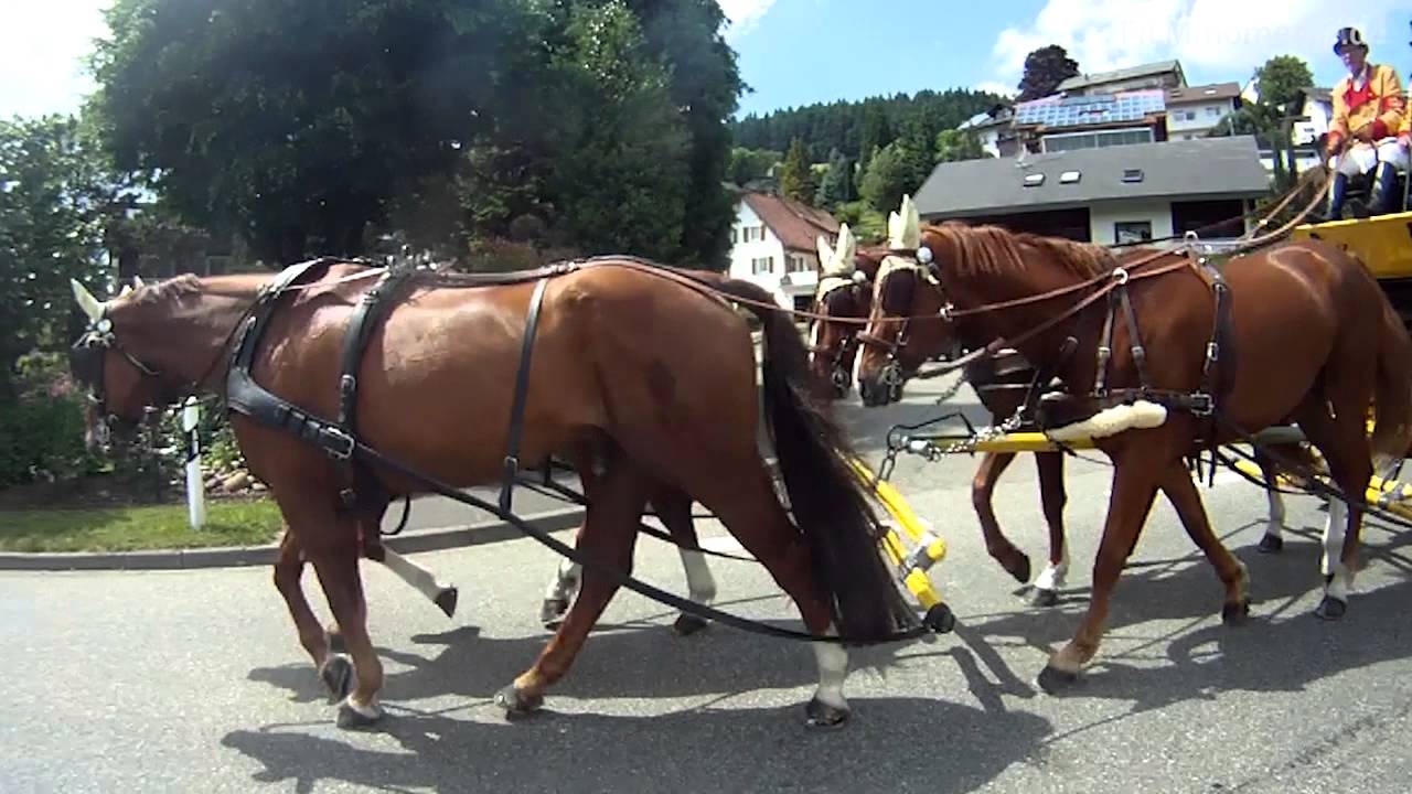 Maximilian Andreas Markgraf von Baden mit der Postkutsche im Kinzigtal
