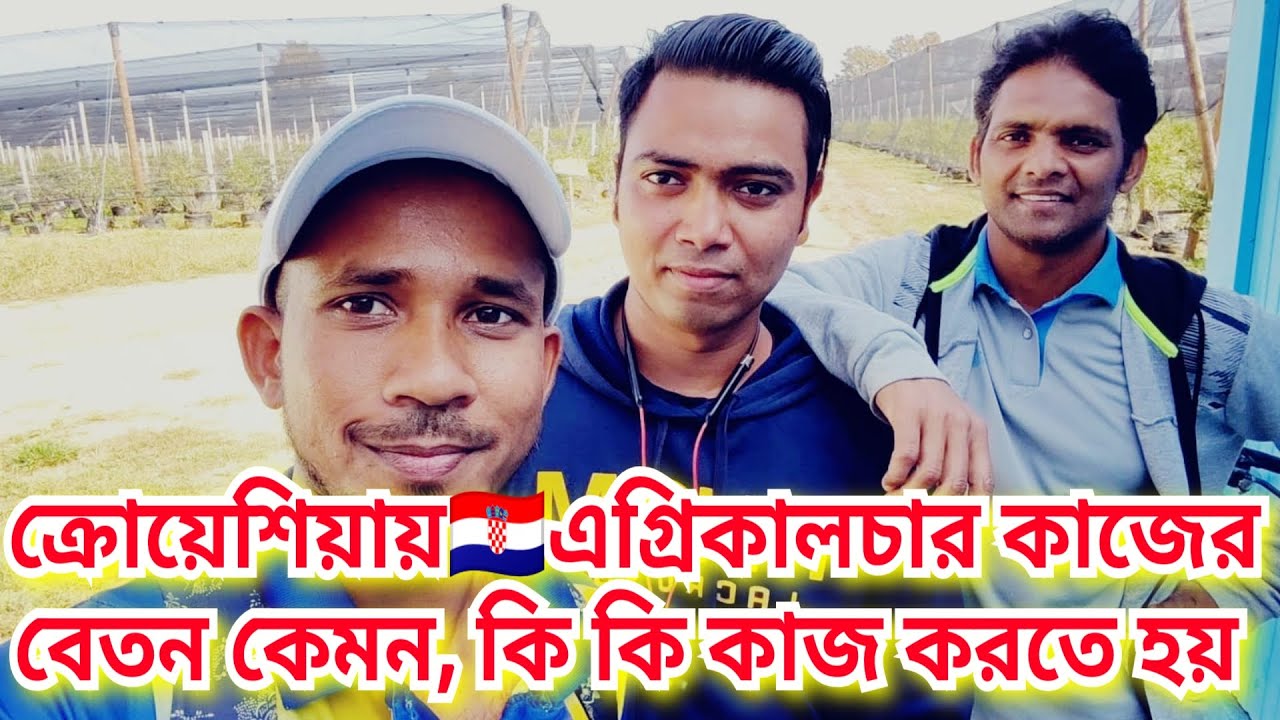 ৩ বছরের অভিজ্ঞ ভাইয়ের কাছ থেকে জেনেনিন ক্রোয়েশিয়ার🇭🇷 ফলবাগান, এগ্রিকালচার,গার্ডেনিং কাজের বিস্তারিত