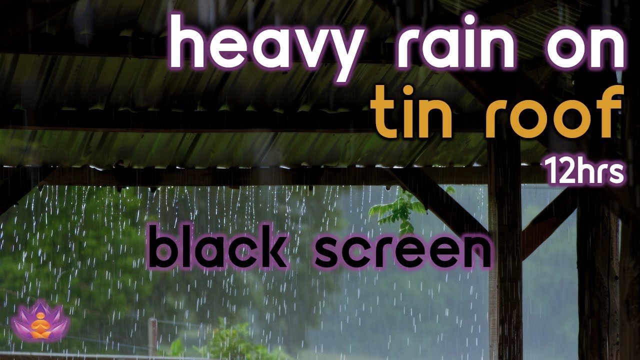 [Black Screen] Heavy Rain on Tin Roof No Thunder | Rain Ambience | Rain Sounds for Sleeping