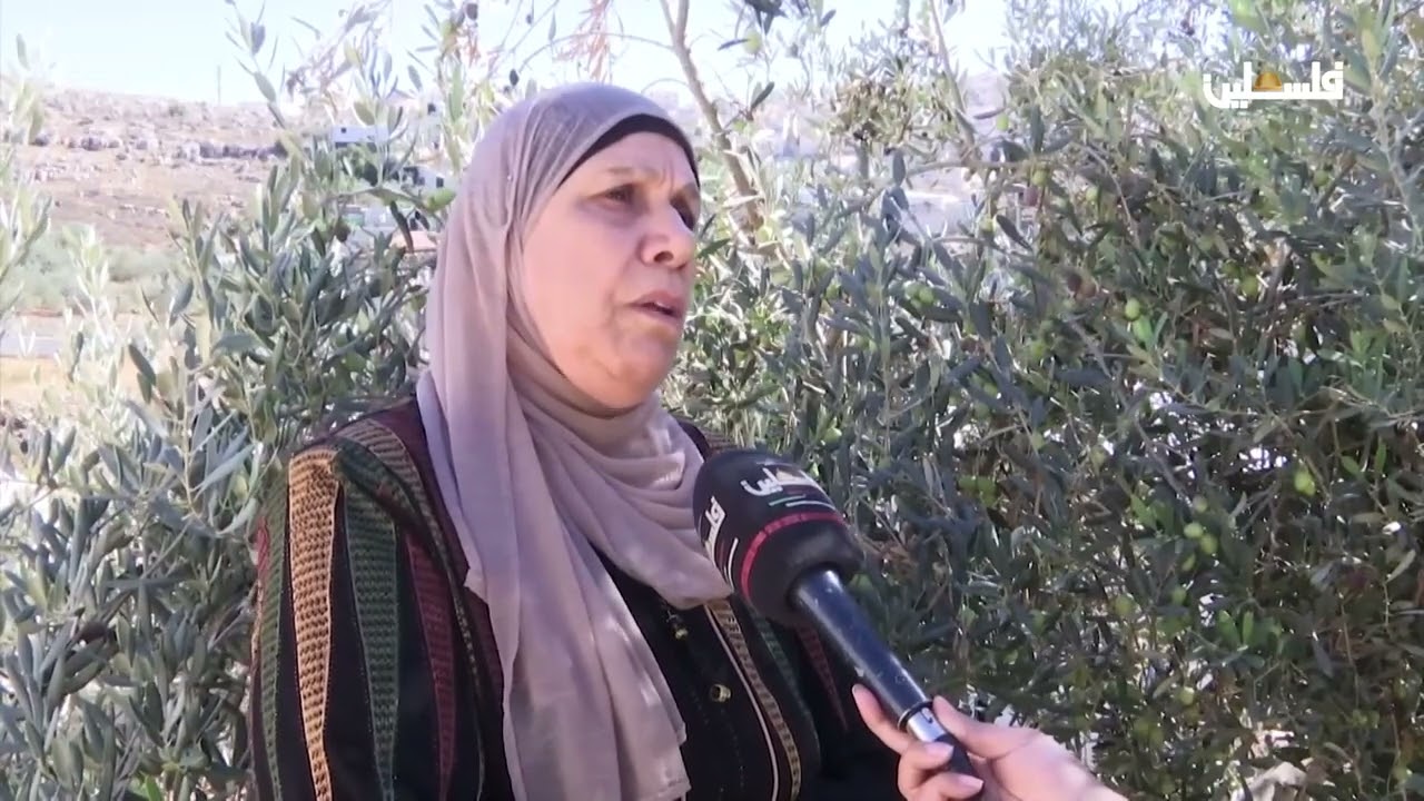 واد فوكين في بيت لحم يوميات صمود ومواجهة