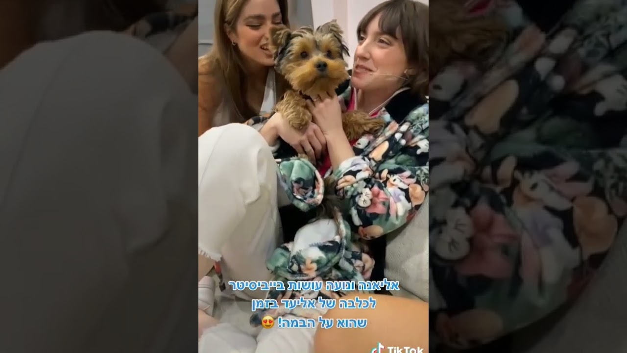 אליאנה תדהר ונועה קירל עושות בייביסיטר לכלבה של אליעד נחום בזמן שהוא על הבמה