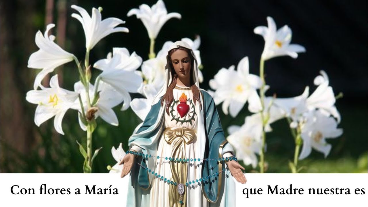 Venid y vamos todos