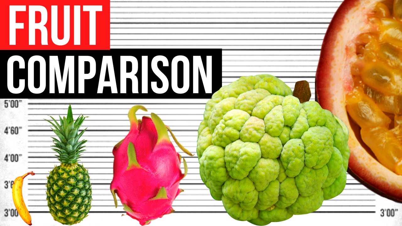 Fruit Size Comparison | Biggest in the World