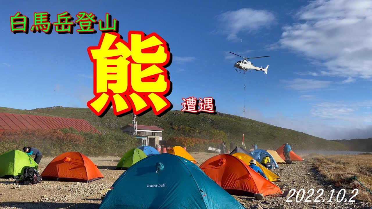 白馬岳登山　熊との遭遇