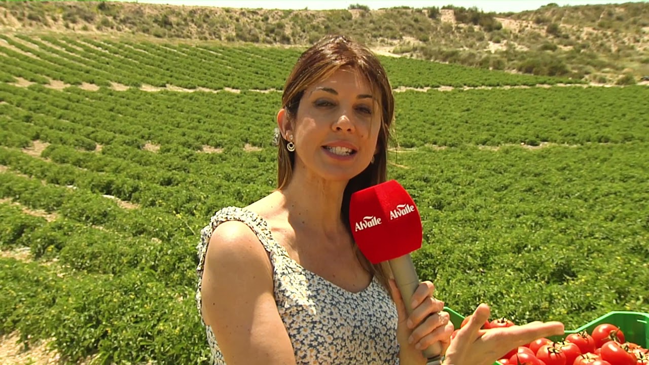 30 ANIVERSARIO ALVALLE  : Entrevistas
