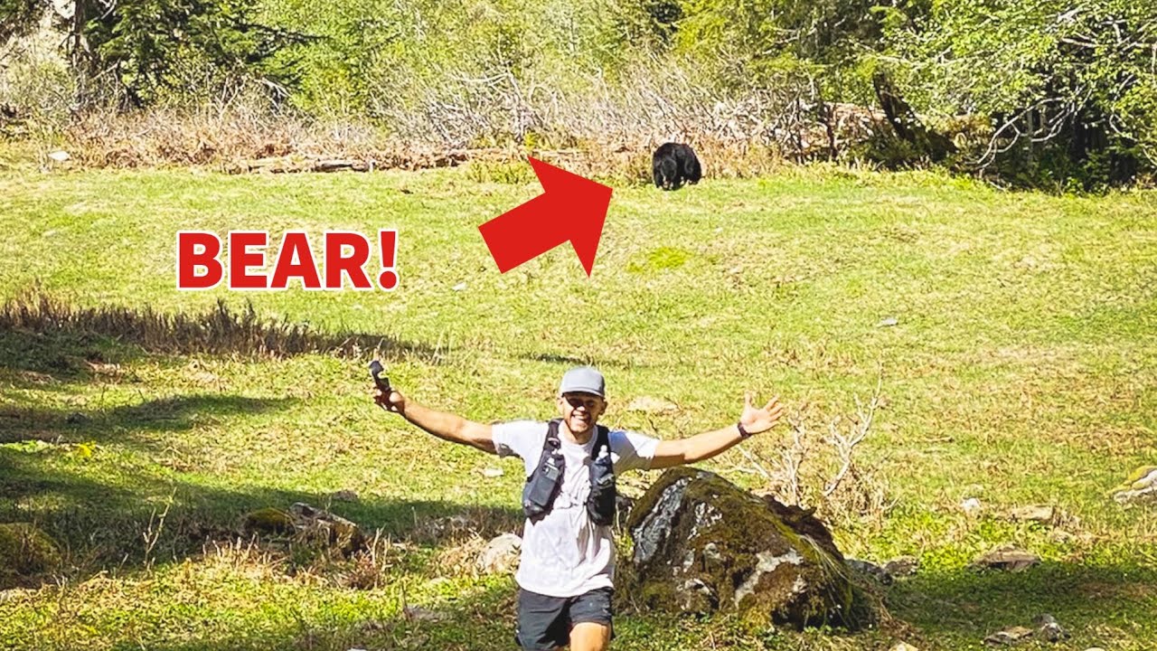 We Had to Run Past a BEAR in Olympic National Park!