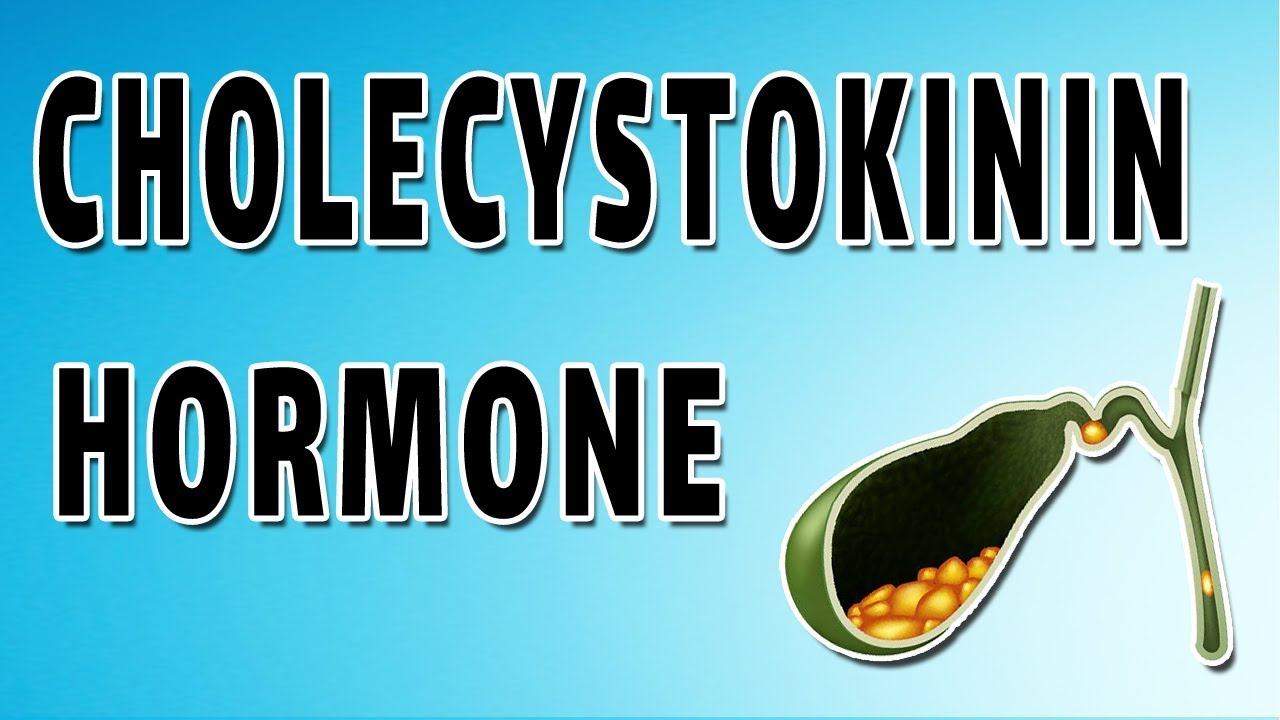 Cholecystokinina (CCK)