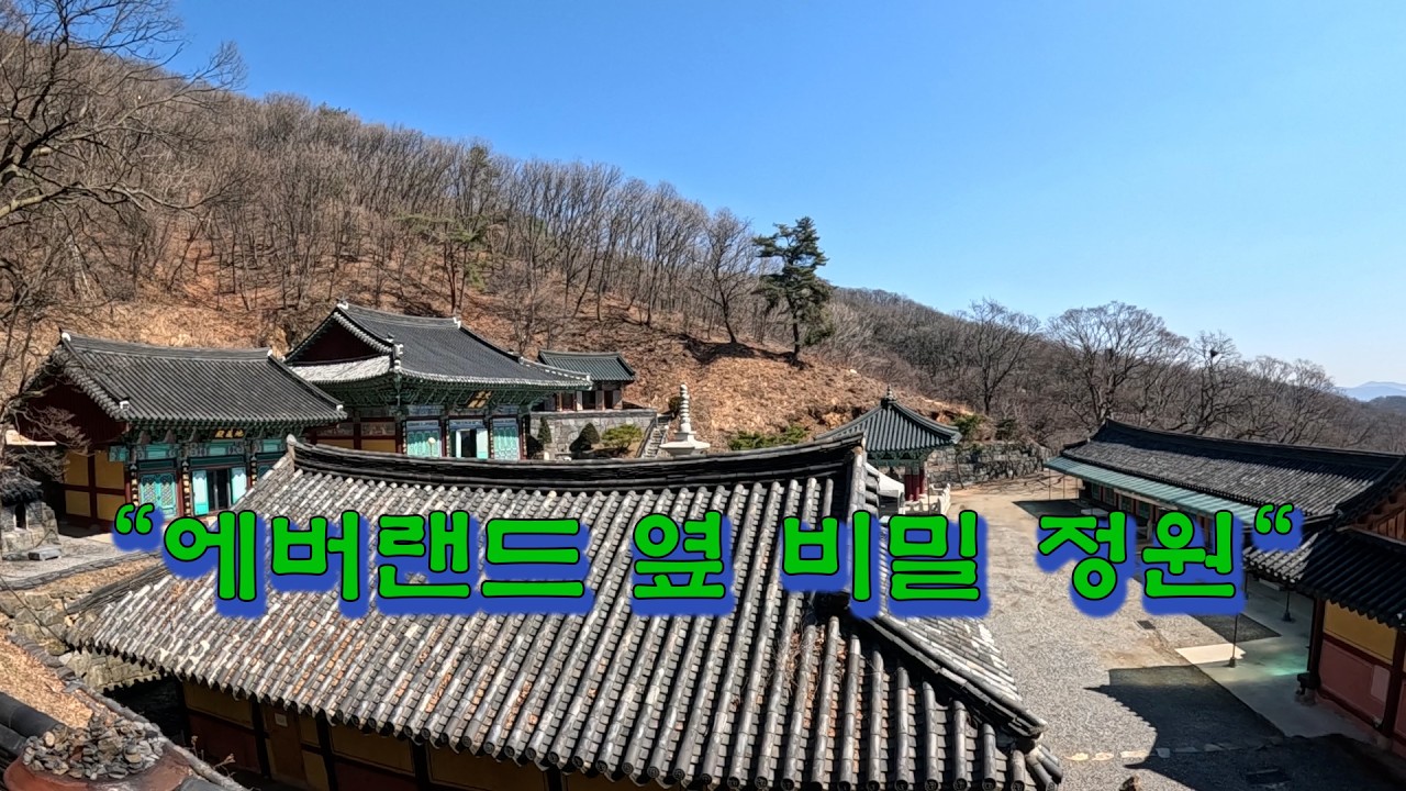 에버랜드 바로 옆에 1,300년 비밀 정원, 용인 백련사 힐링 여행 🌿 신라 시대부터 이어진 천년의 쉼터