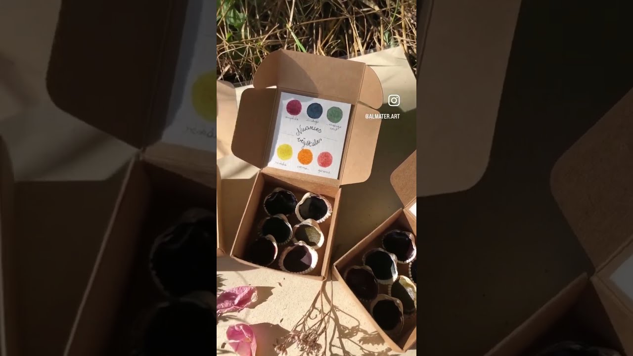NUANCES VÉGÉTALES : la collection Almâter d'aquarelles naturelles et végétales