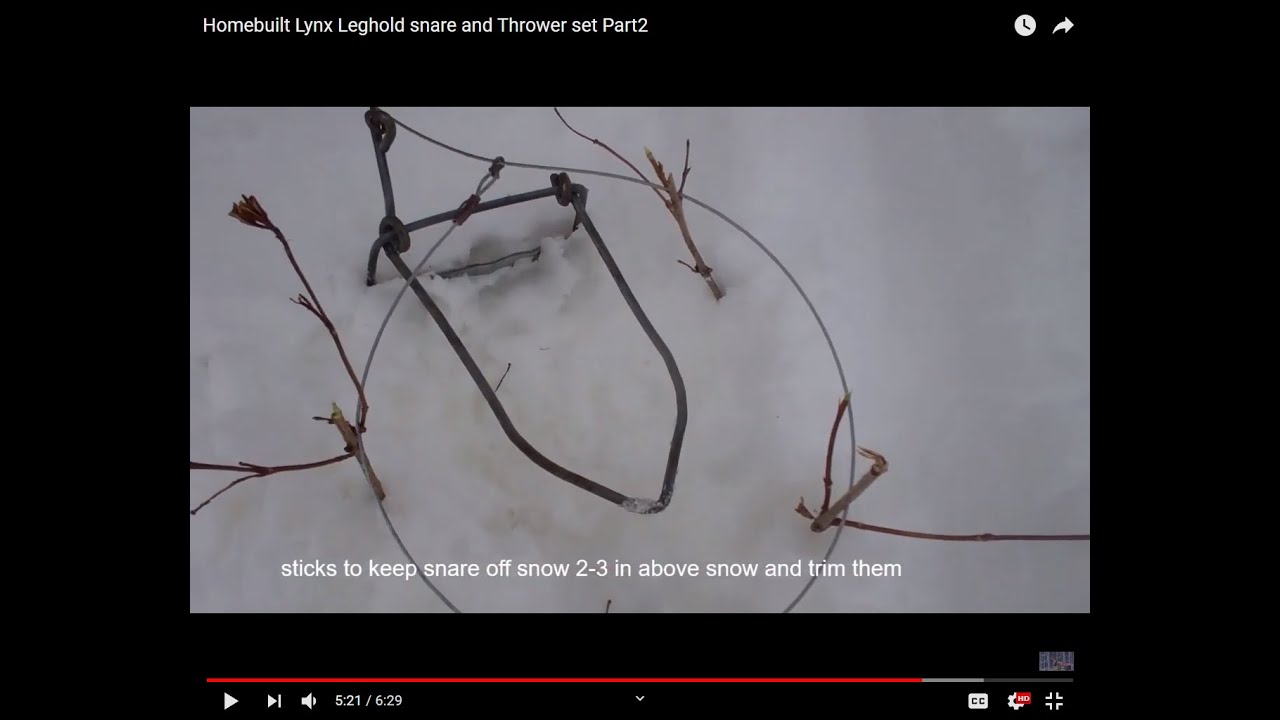 Homemade Lynx Leghold snare and Thrower set Part2