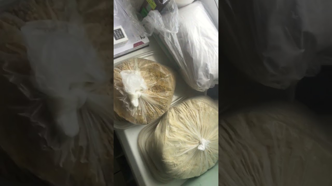 Білкова підгодівля бджіл. Три нові рецепти в описі.