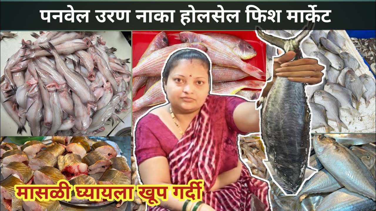 Mumbai Biggest Fish Market | Panvel Fish Market Uran Naka Navi Mumbai Wholesale Fish Market 