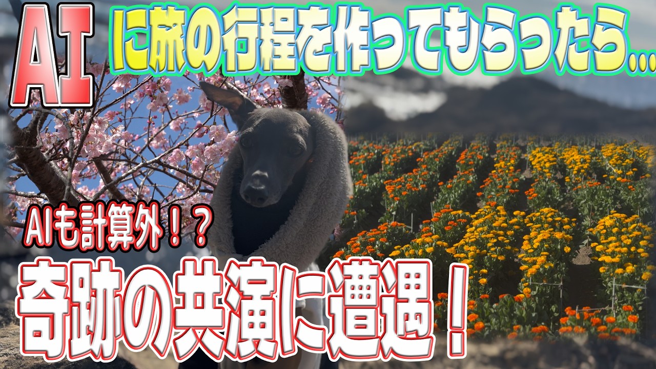 【検証】AIが提案する「手頃な観光スポット」に行ったら、本当に満足できるのか？
