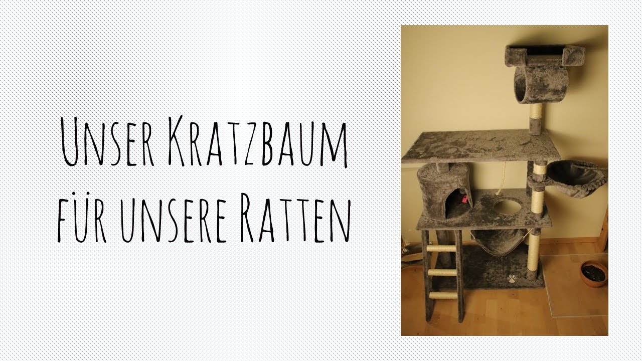 Unser neues Paket! (Unboxing + Aufbau)