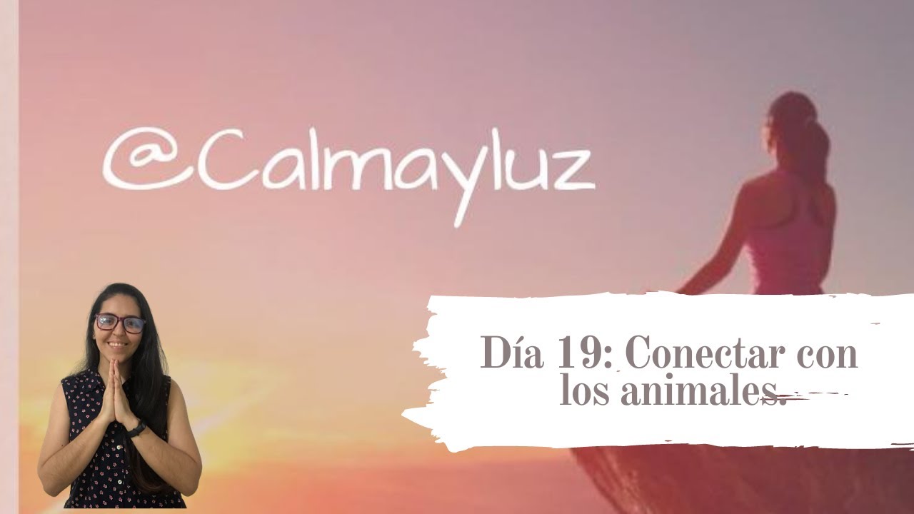 Conecta con los animales 💖