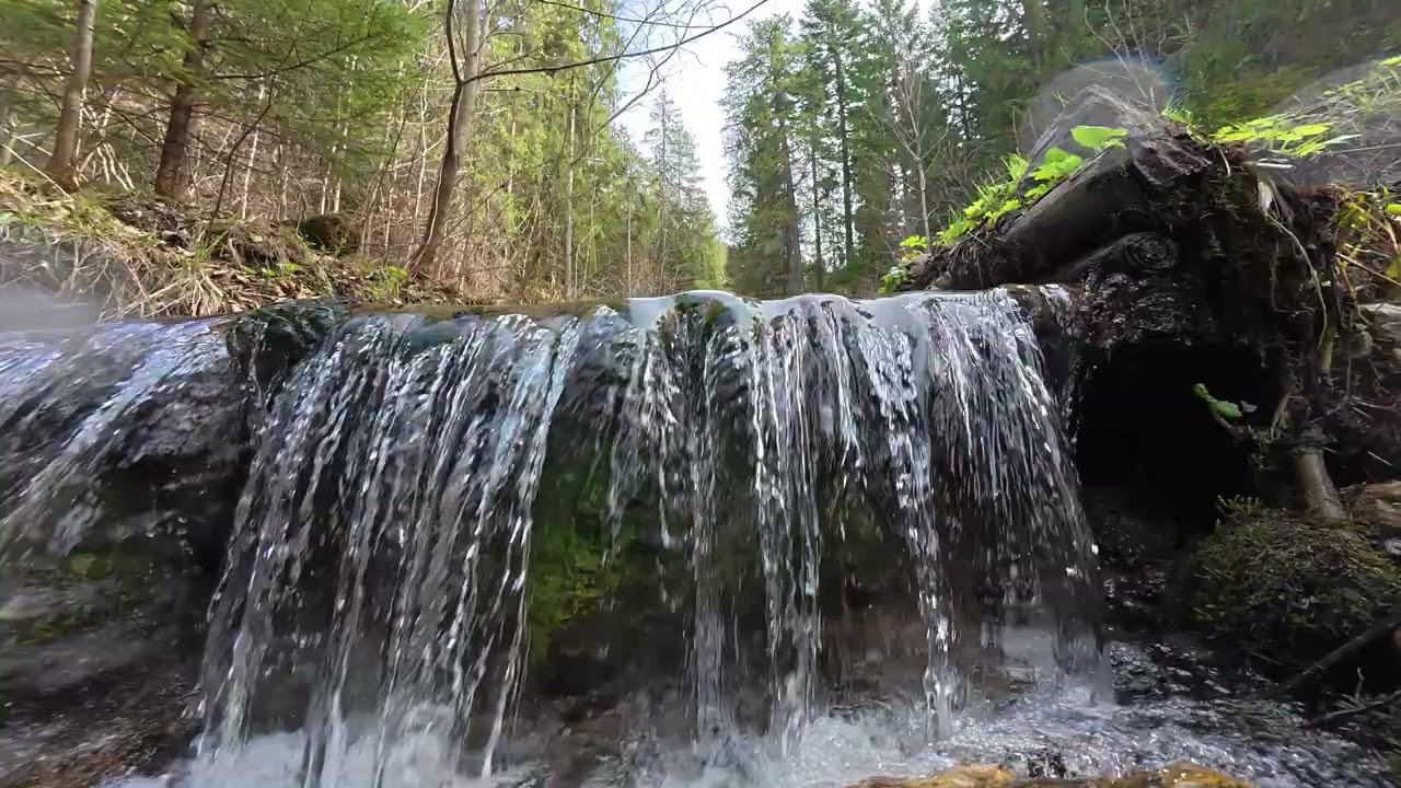 Potok pri nadrži blajzoch ( dji action 5 pro )