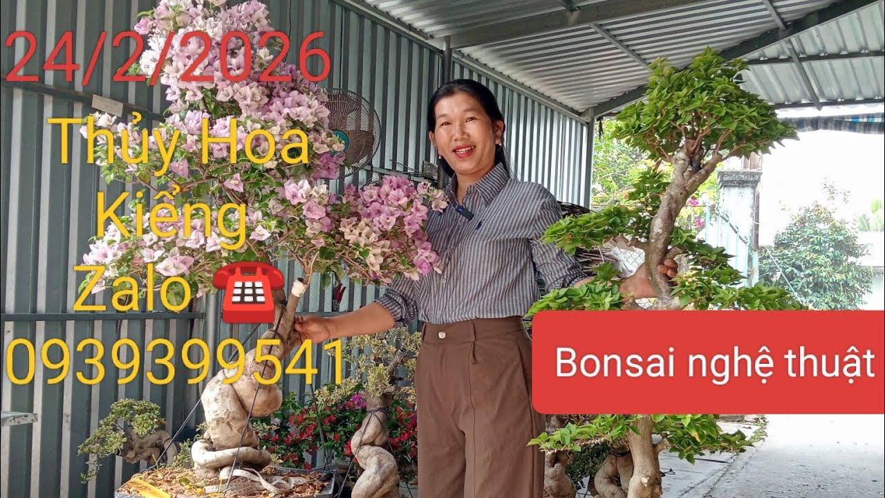 24/2/2026 nhầm ngày mùng 8 tết  Thủy Hoa Kiểng giao lưu hoa giấy đẹp bonsai nghệ thuật 