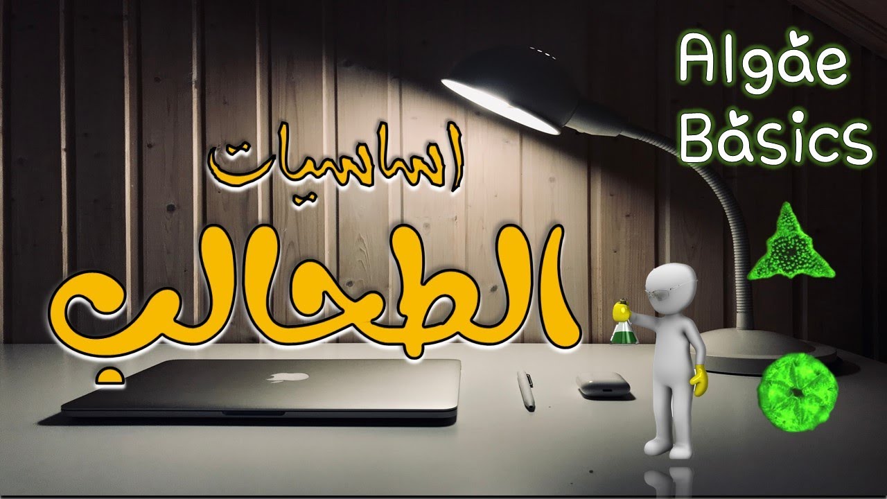 تقسيم مملكه نباتيه اساسيات الطحالب Systematic Botany Lec Algae Basics ..updated (Arabic) علم النبات