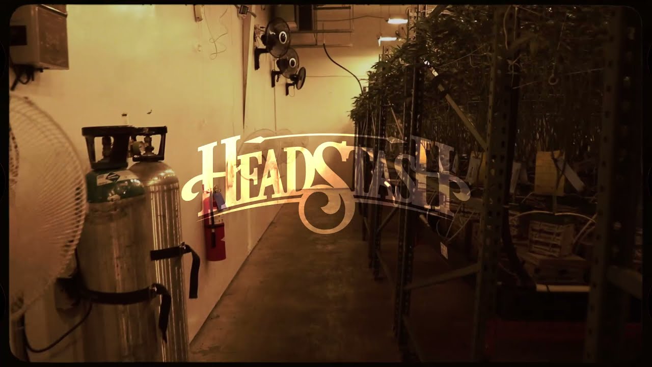 Headstash 4/20/21 Adeline Drop