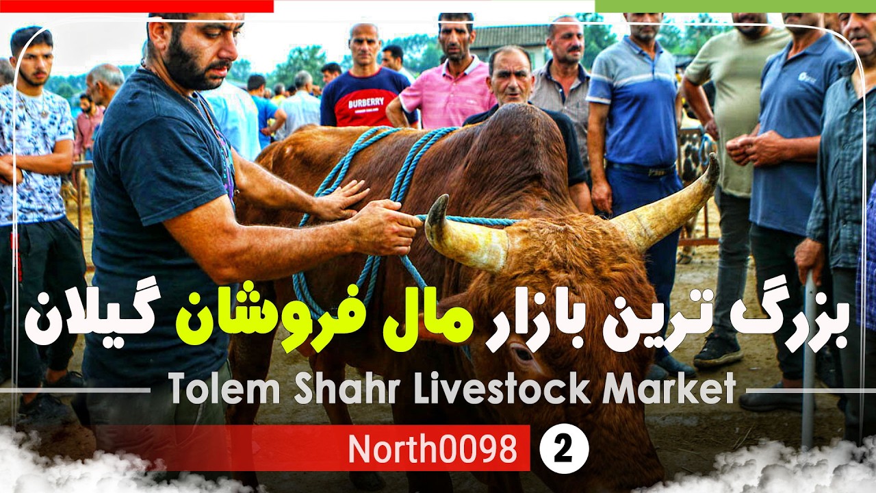 بازار مال فروشان (بازار دام) تولم شهر,گیلان,شمال ایران - Tolemshahr, Gilan,North of Iran