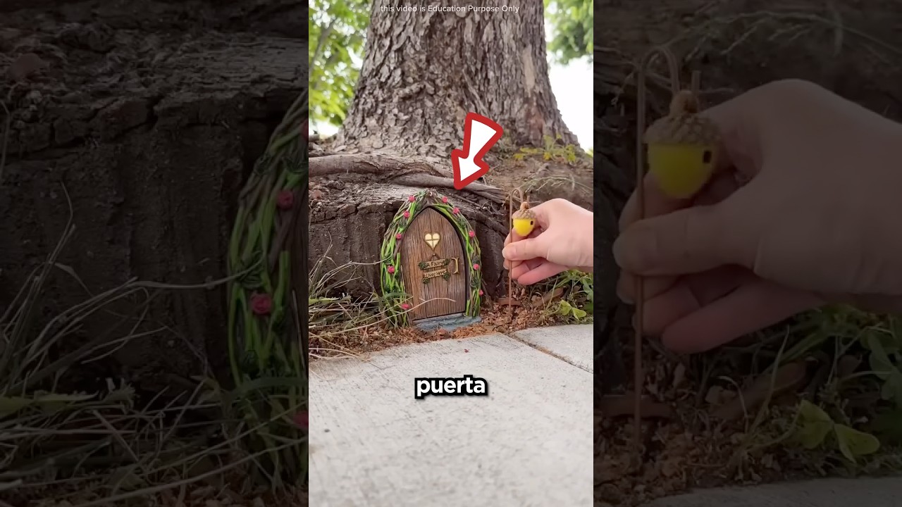 Esta Mujer Hizo Una Casita De Hadas 🥺❤️