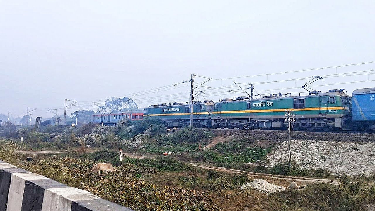 Only WAG-9 🔥 Locomotive Train CROSSING | Indian railways | 