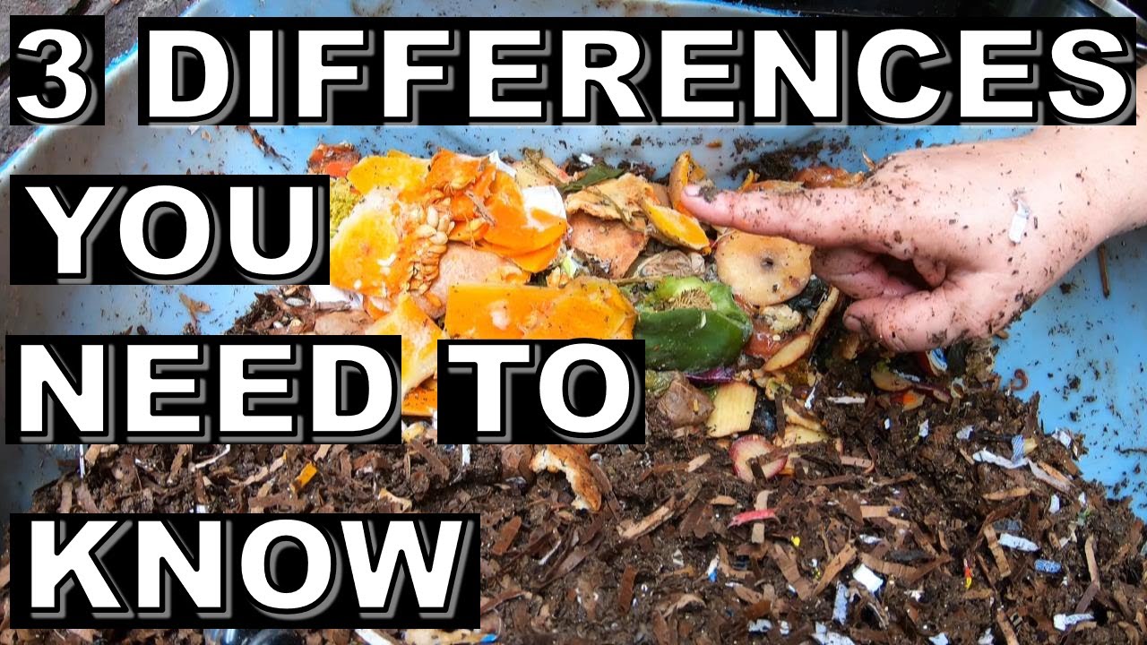 New vs Mature Worm Bin: What You Need to Know