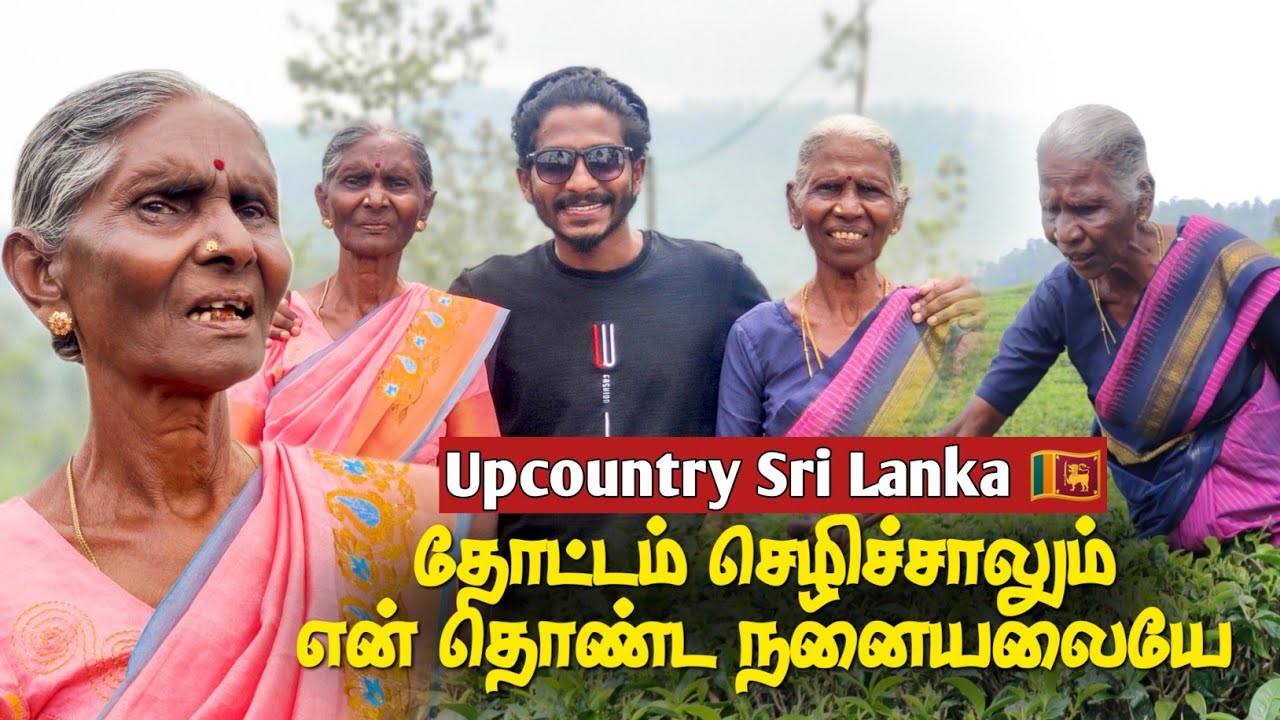 மறந்துபோன மலையகப் பாடல்களை பாடும் அம்மாக்கள் | Upcountry songs | Sri Lanka | Manojnath Sathasivam