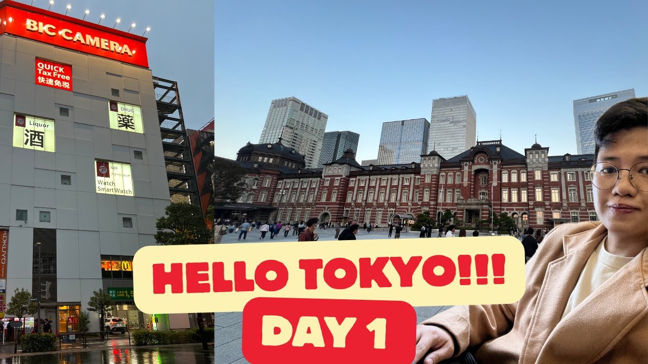 DIY Solo Traveler in Tokyo! Narita Airport to Tokyo, Akihabara, BIC Camera.
