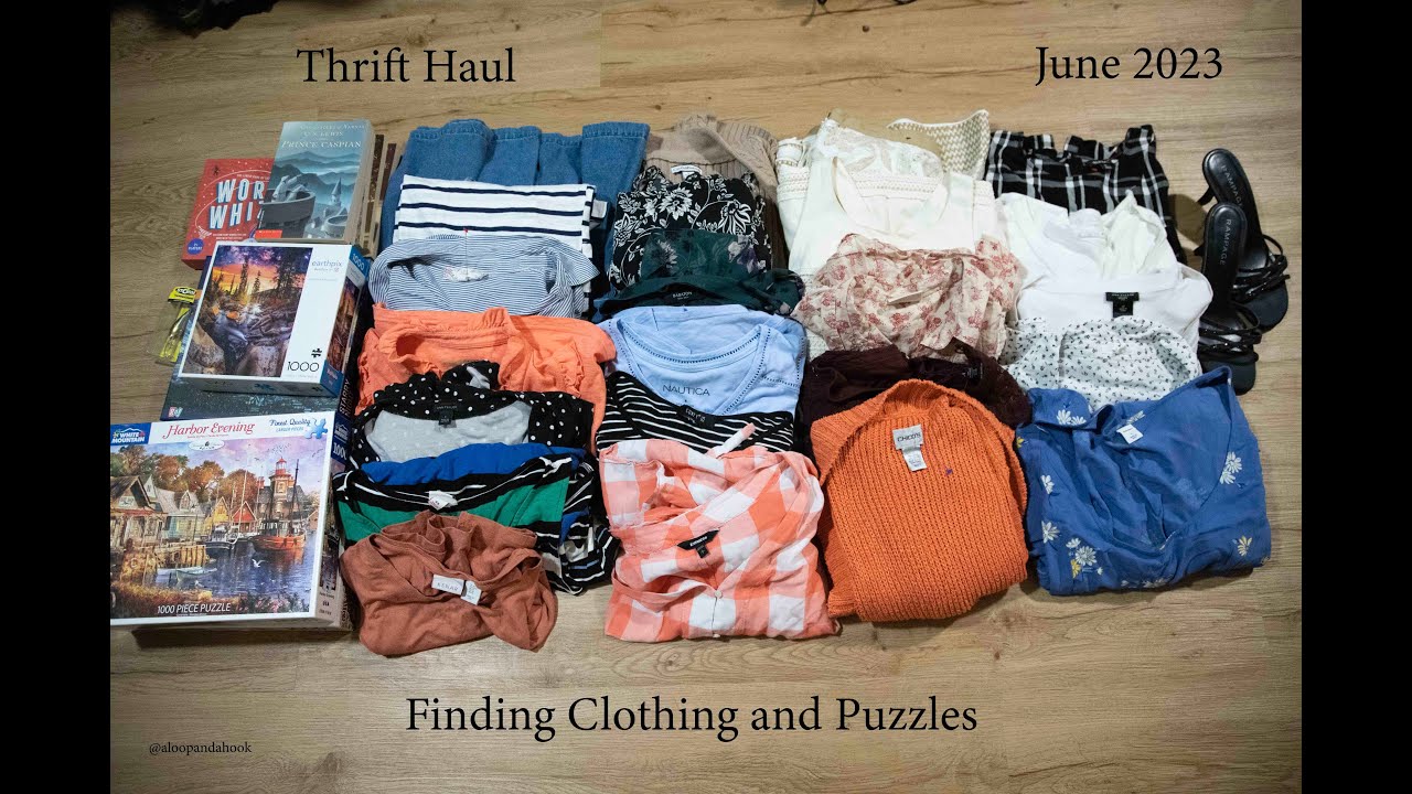 Thrift Haul | Puzzles + Ann Taylor Clothing and More | June 2023 | Budget Shopping | ALoopandAHook